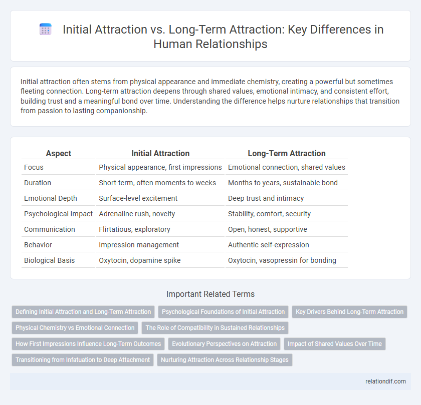 Initial Attraction vs. Long-Term Attraction: Key Differences in Human Relationships