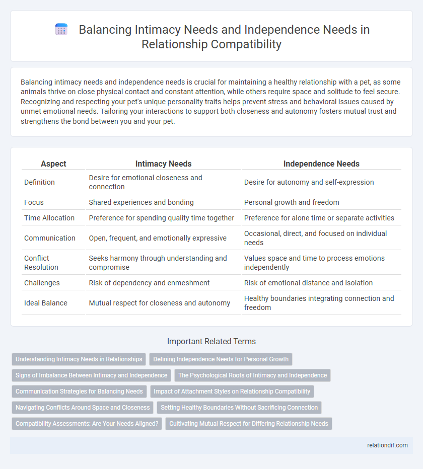 Balancing Intimacy Needs and Independence Needs in Relationship Compatibility