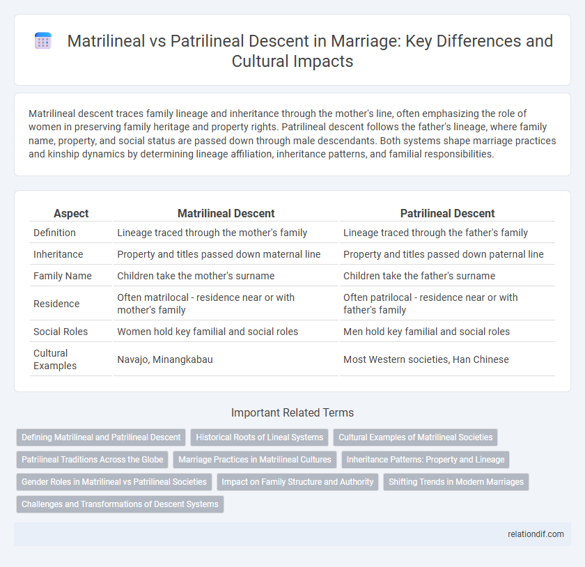 Matrilineal vs Patrilineal Descent in Marriage: Key Differences and Cultural Impacts