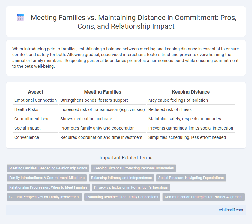 Meeting Families vs. Maintaining Distance in Commitment: Pros, Cons, and Relationship Impact