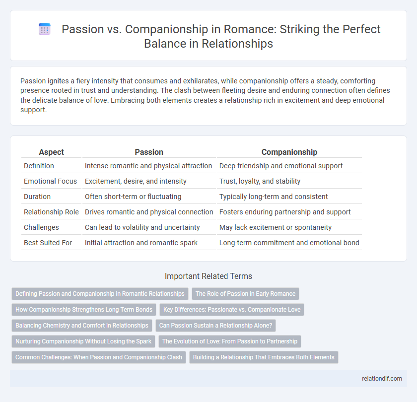 Passion vs. Companionship in Romance: Striking the Perfect Balance in Relationships