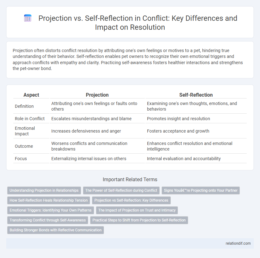 Projection vs. Self-Reflection in Conflict: Key Differences and Impact on Resolution