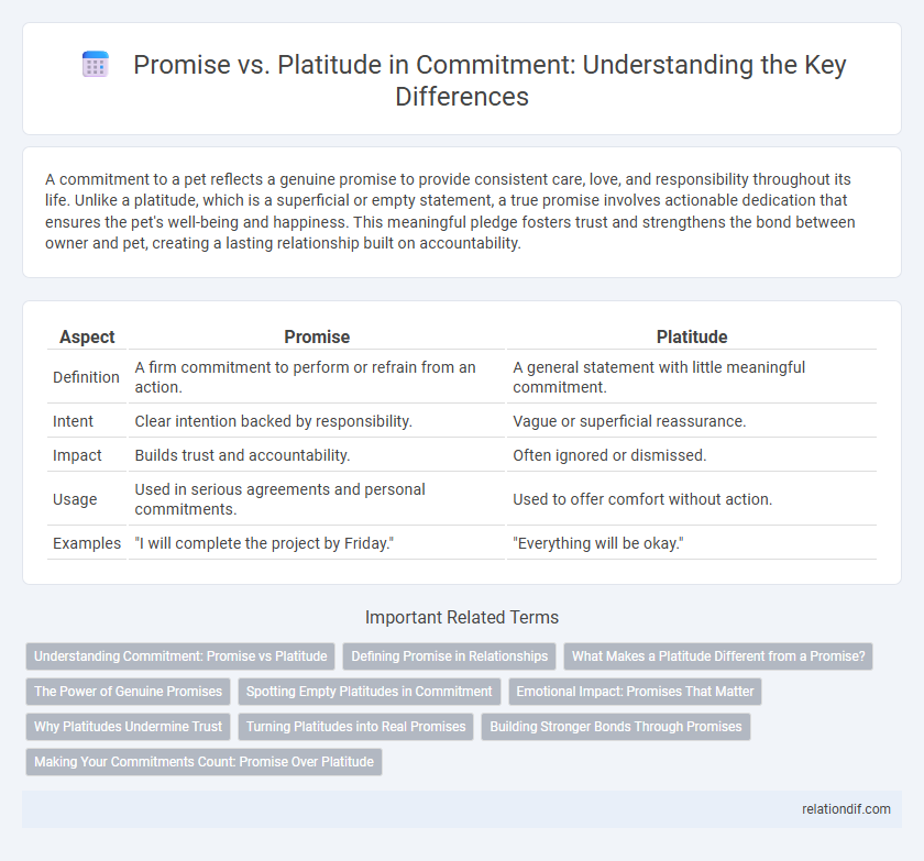 Promise vs. Platitude in Commitment: Understanding the Key Differences