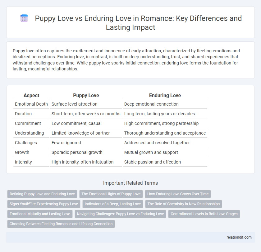 Puppy Love vs Enduring Love in Romance: Key Differences and Lasting Impact