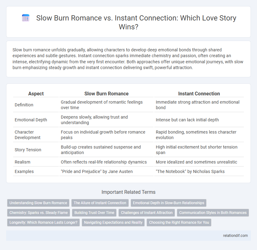 Slow Burn Romance vs. Instant Connection: Which Love Story Wins?