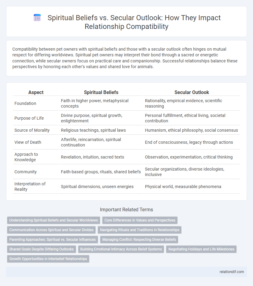 Spiritual Beliefs vs. Secular Outlook: How They Impact Relationship Compatibility