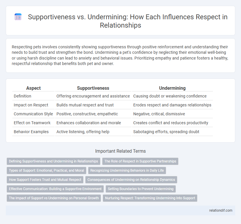 Supportiveness vs. Undermining: How Each Influences Respect in Relationships