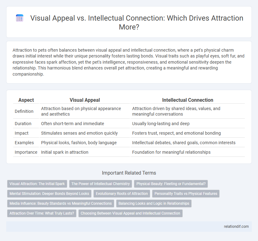 Visual Appeal vs. Intellectual Connection: Which Drives Attraction More?