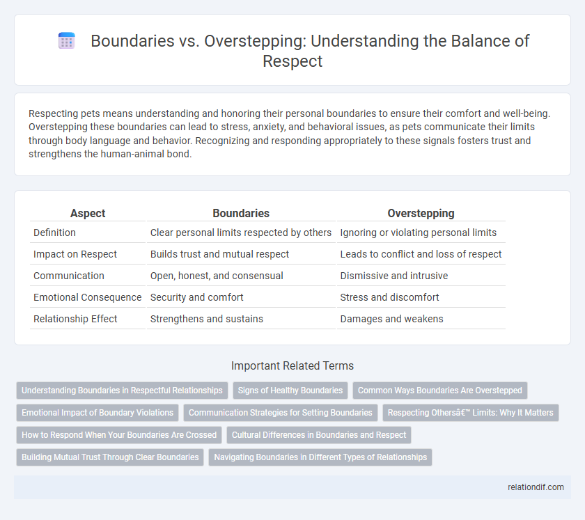Boundaries vs. Overstepping: Understanding the Balance of Respect