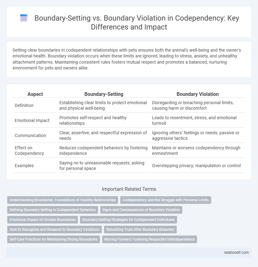 Boundary-Setting vs. Boundary Violation in Codependency: Key Differences and Impact