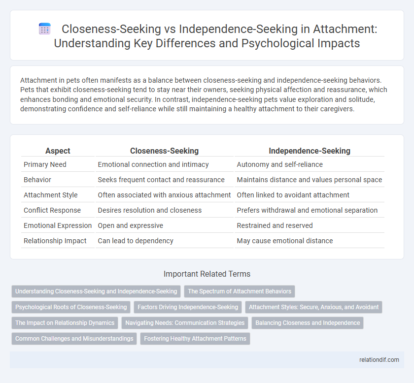 Closeness-Seeking vs Independence-Seeking in Attachment: Understanding Key Differences and Psychological Impacts