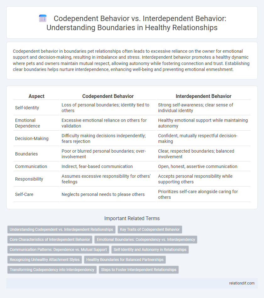 Codependent Behavior vs. Interdependent Behavior: Understanding Boundaries in Healthy Relationships