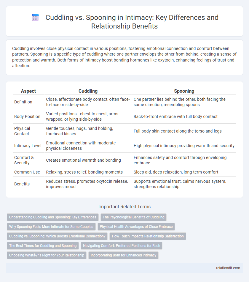 Cuddling vs. Spooning in Intimacy: Key Differences and Relationship Benefits