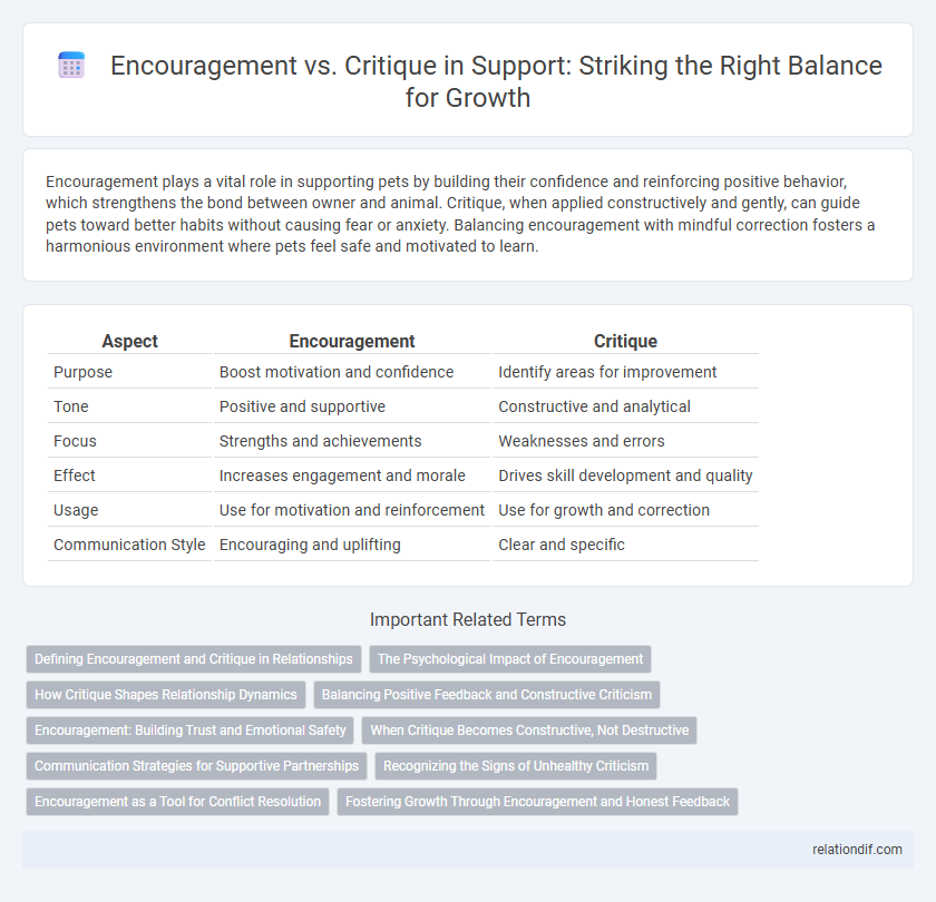Encouragement vs. Critique in Support: Striking the Right Balance for Growth