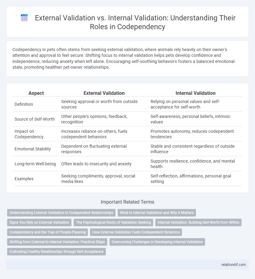 External Validation vs. Internal Validation: Understanding Their Roles in Codependency