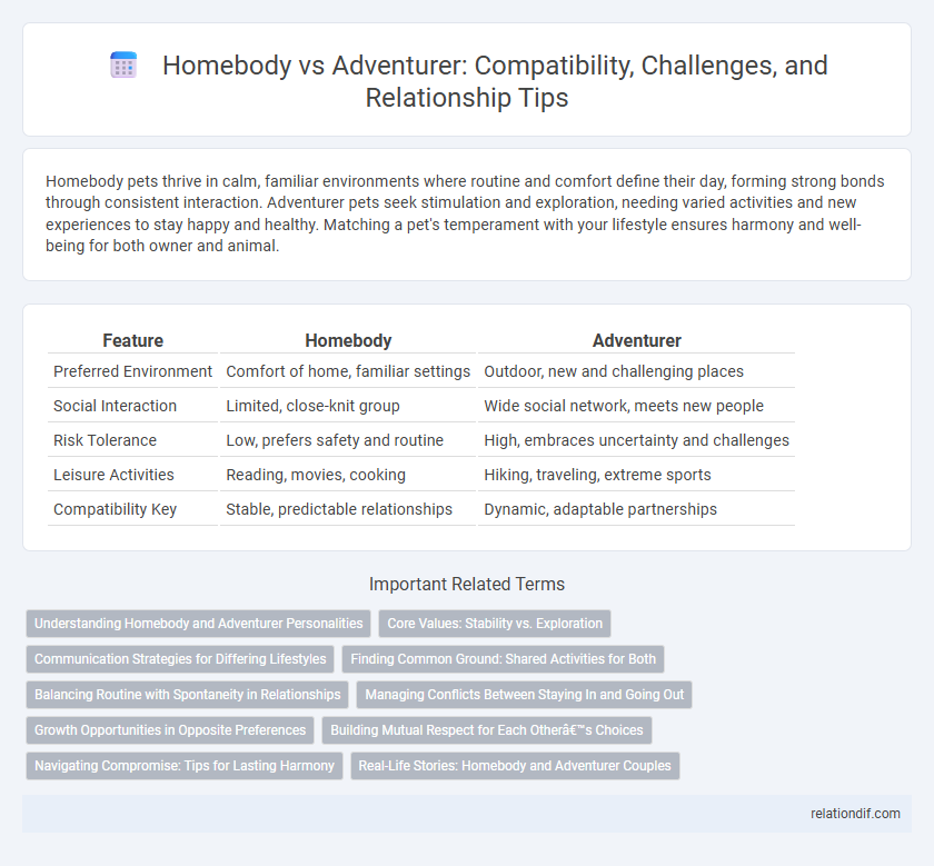 Homebody vs Adventurer: Compatibility, Challenges, and Relationship Tips