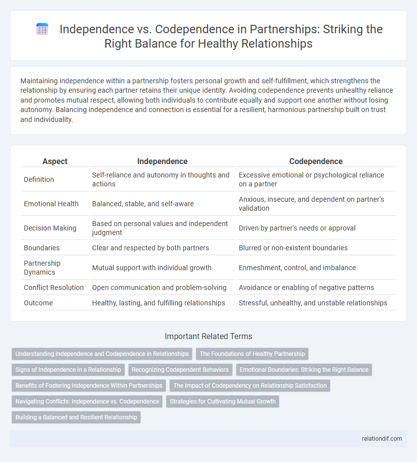Independence vs. Codependence in Partnerships: Striking the Right Balance for Healthy Relationships