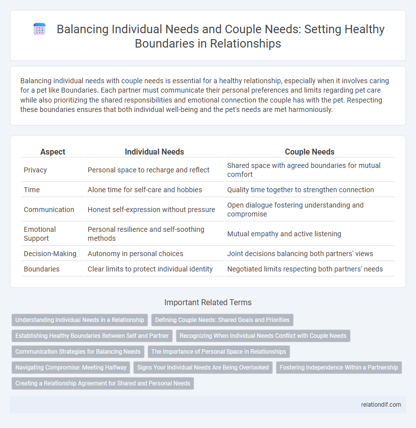 Balancing Individual Needs and Couple Needs: Setting Healthy Boundaries in Relationships