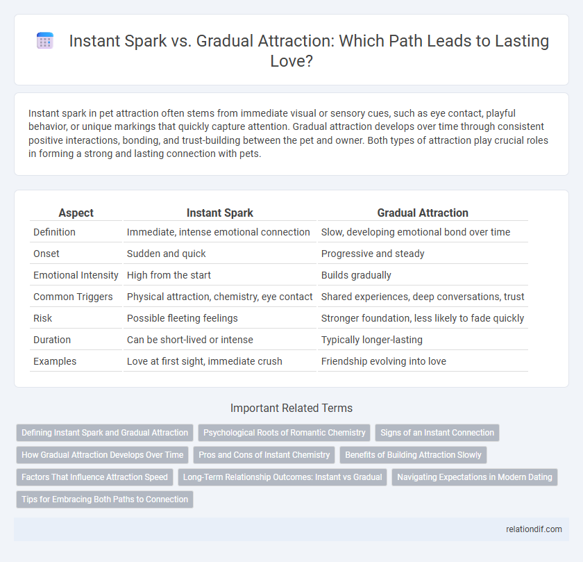 Instant Spark vs. Gradual Attraction: Which Path Leads to Lasting Love?