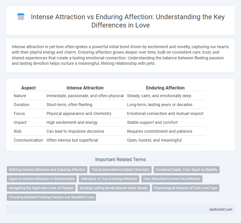 Intense Attraction vs Enduring Affection: Understanding the Key Differences in Love