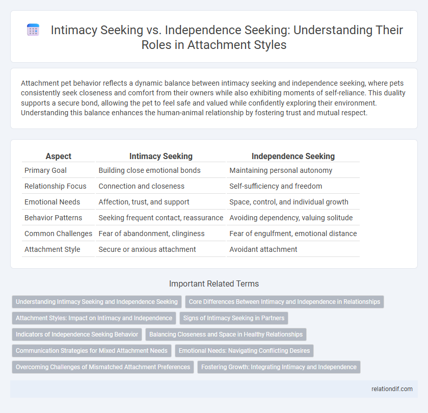 Intimacy Seeking vs. Independence Seeking: Understanding Their Roles in Attachment Styles