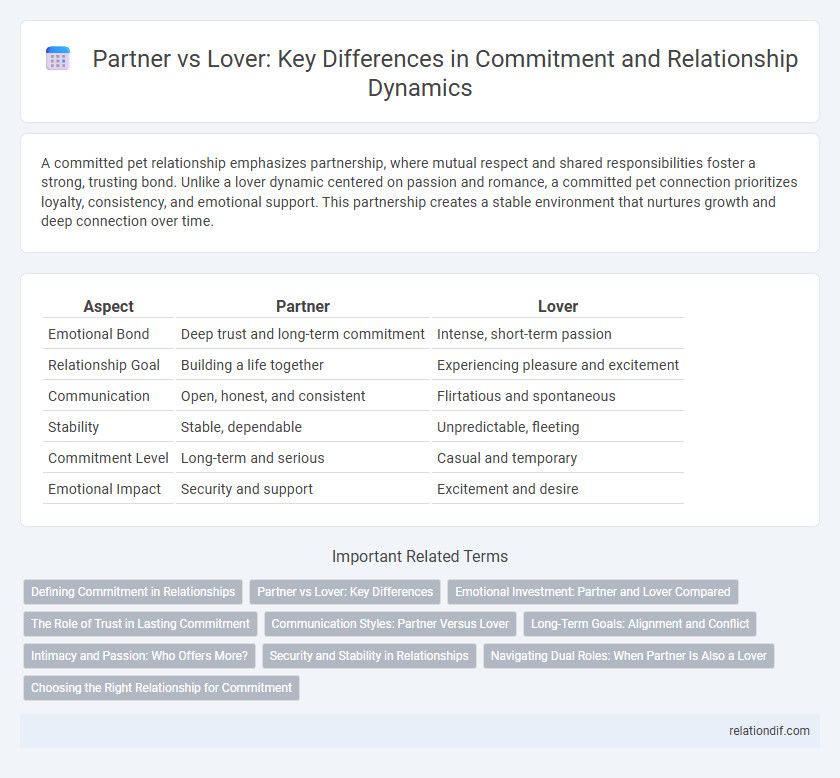 Partner vs Lover: Key Differences in Commitment and Relationship Dynamics