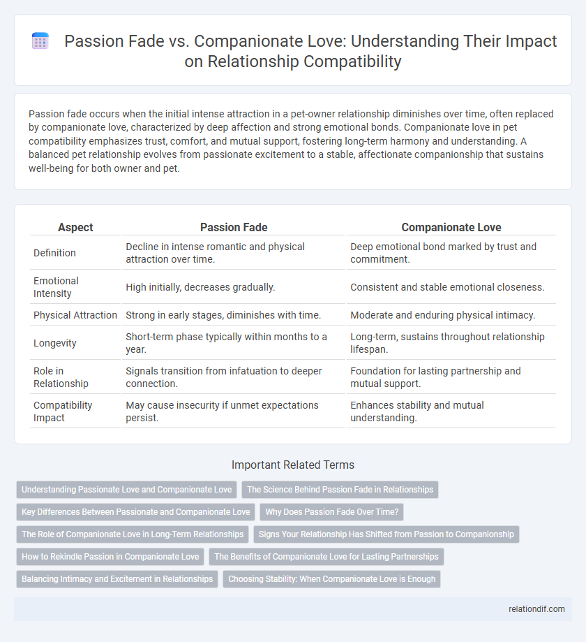 Passion Fade vs. Companionate Love: Understanding Their Impact on Relationship Compatibility