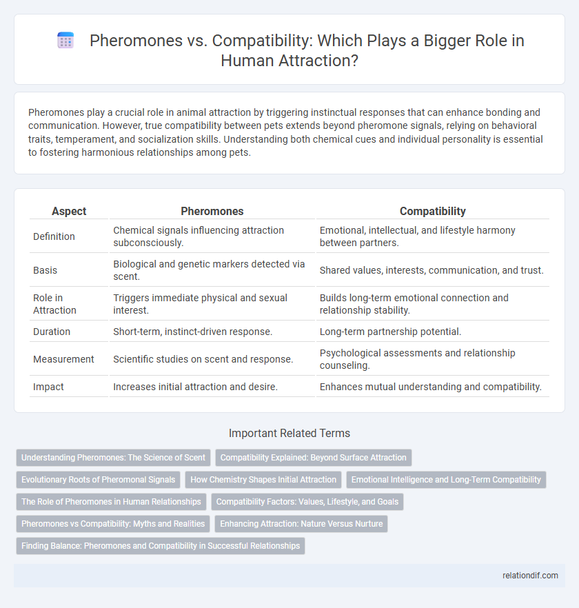 Pheromones vs. Compatibility: Which Plays a Bigger Role in Human Attraction?
