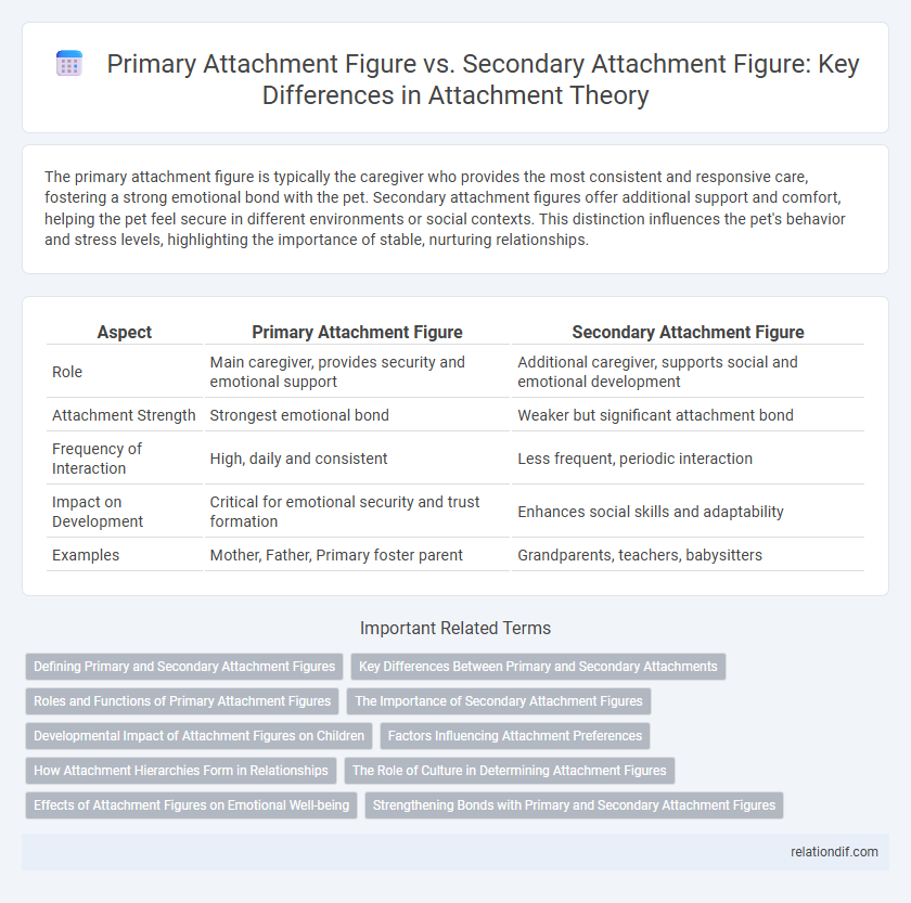 Primary Attachment Figure vs. Secondary Attachment Figure: Key Differences in Attachment Theory