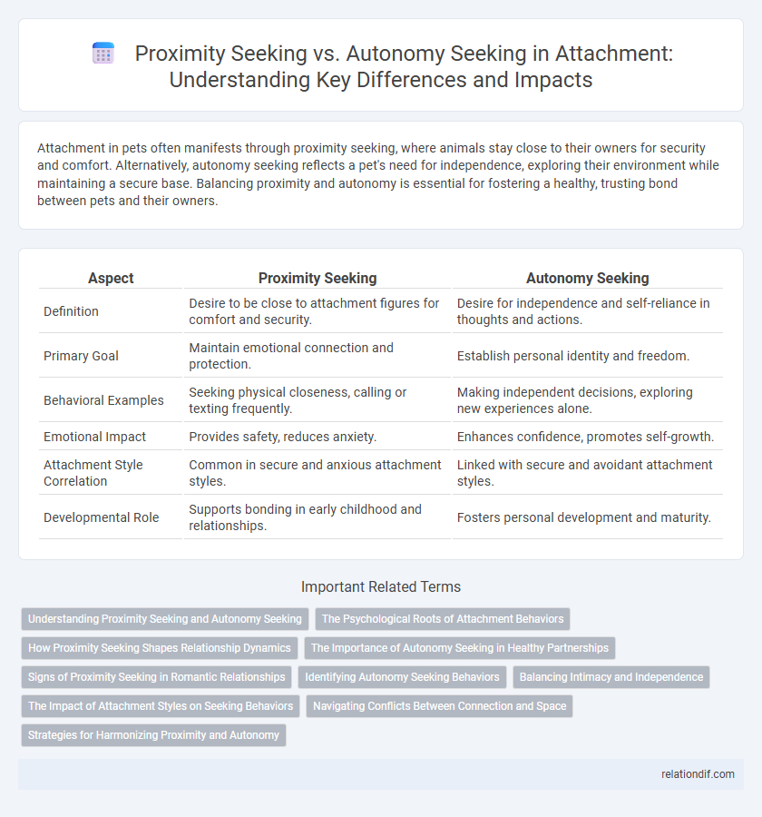 Proximity Seeking vs. Autonomy Seeking in Attachment: Understanding Key Differences and Impacts