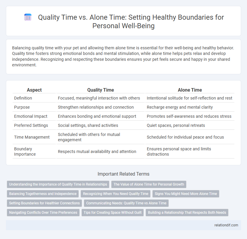Quality Time vs. Alone Time: Setting Healthy Boundaries for Personal Well-Being
