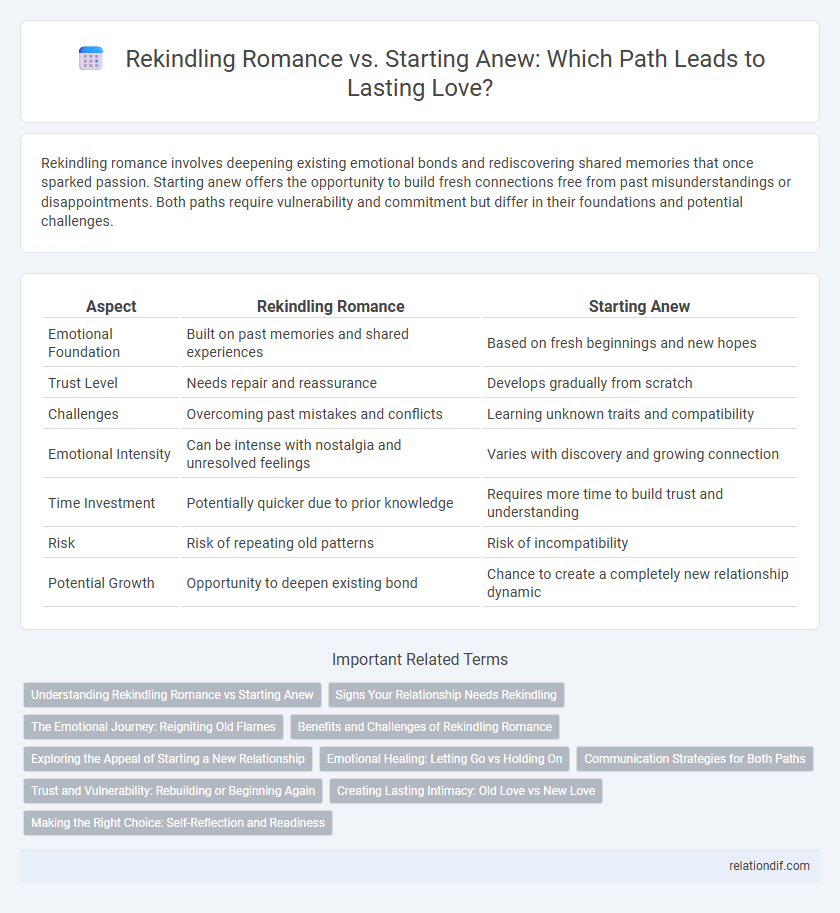 Rekindling Romance vs. Starting Anew: Which Path Leads to Lasting Love?