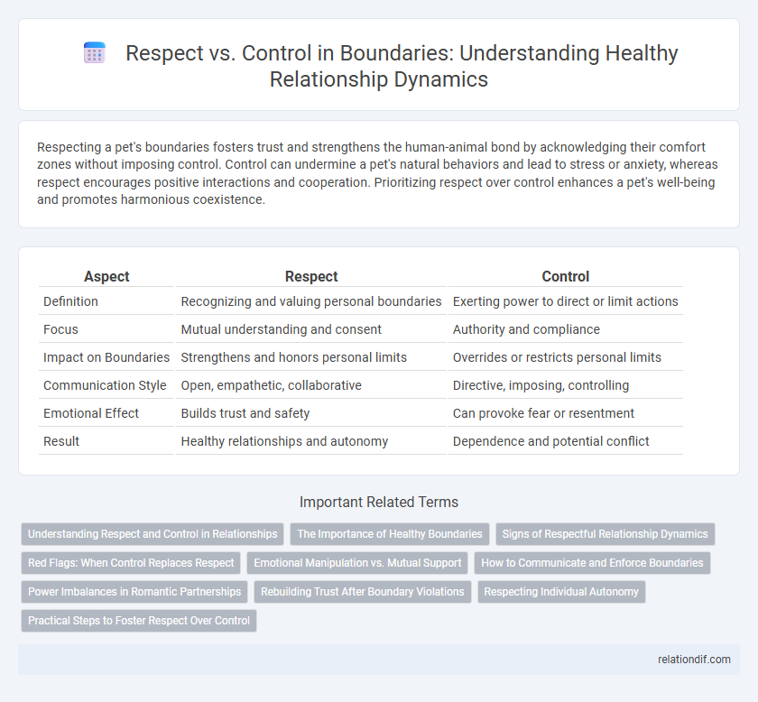 Respect vs. Control in Boundaries: Understanding Healthy Relationship Dynamics