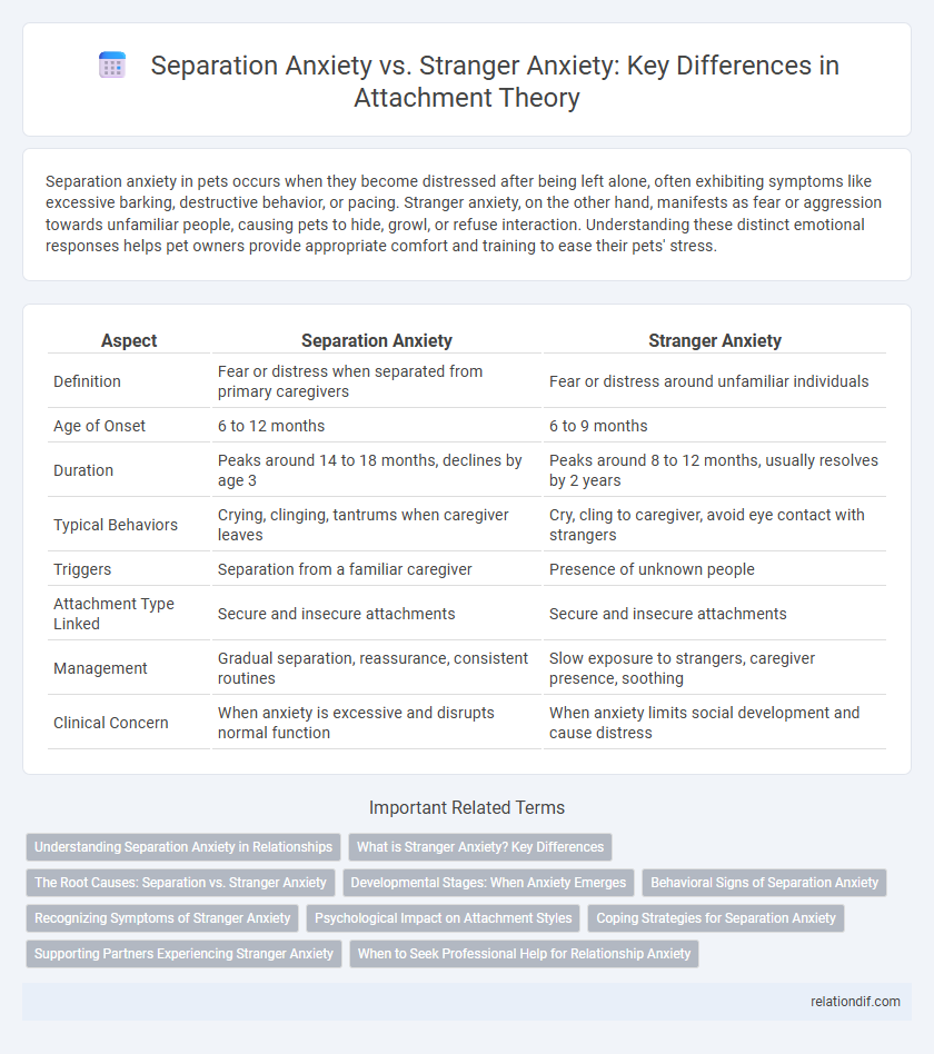 Separation Anxiety vs. Stranger Anxiety: Key Differences in Attachment Theory