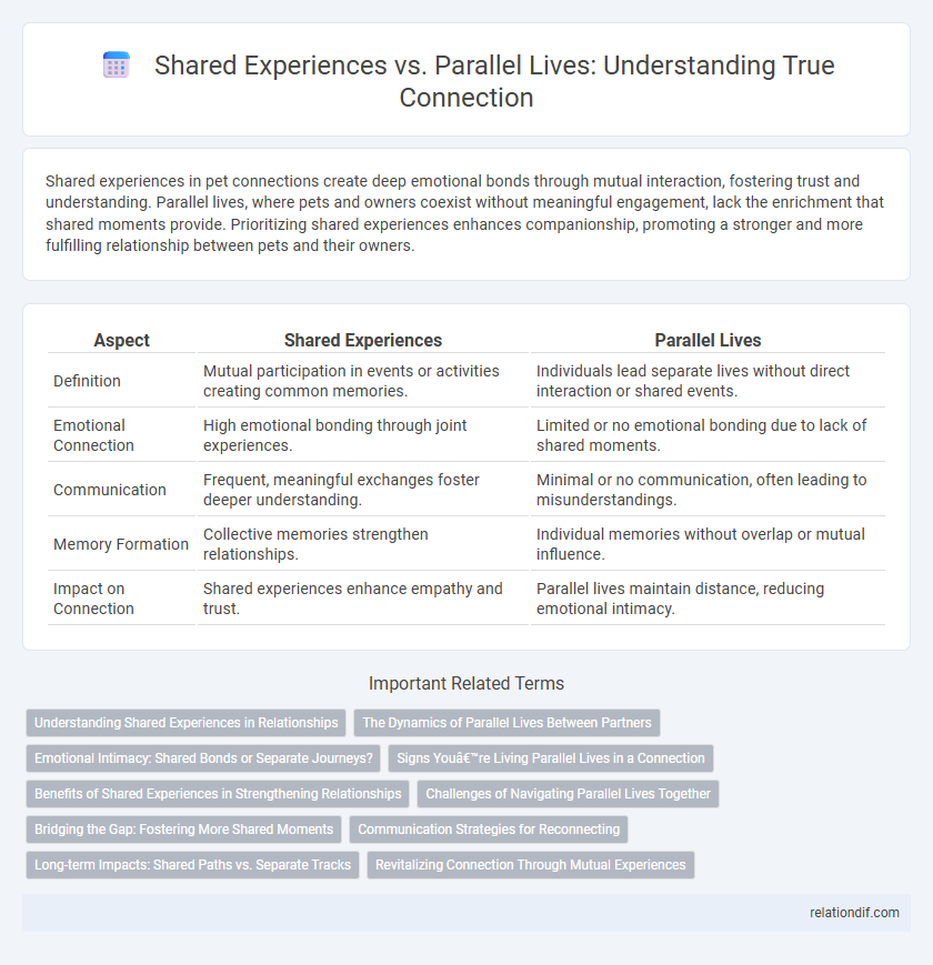 Shared Experiences vs. Parallel Lives: Understanding True Connection