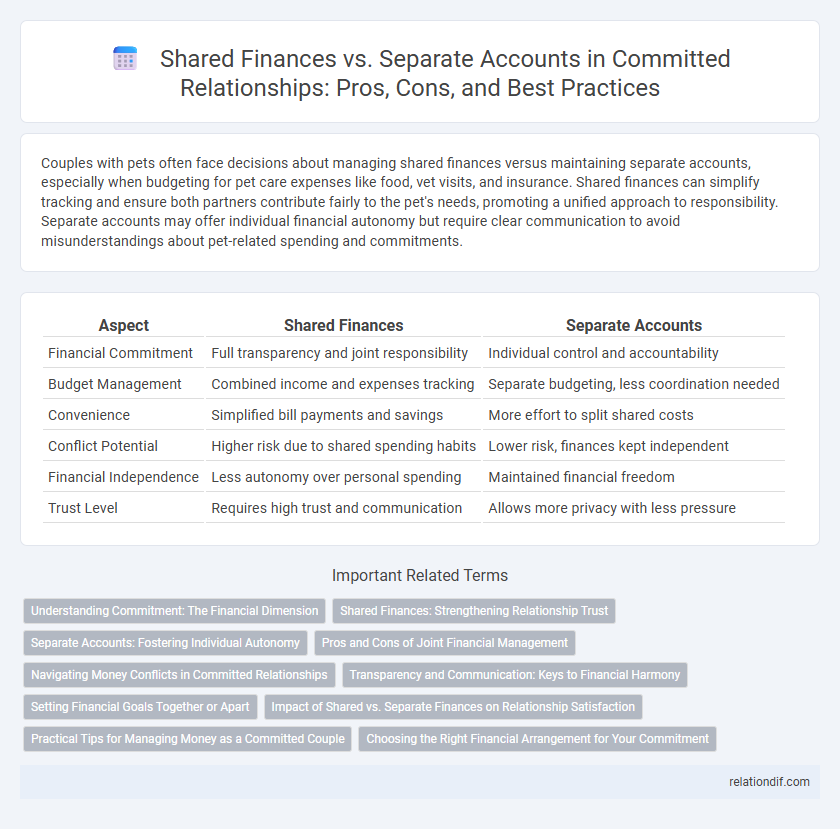 Shared Finances vs. Separate Accounts in Committed Relationships: Pros, Cons, and Best Practices