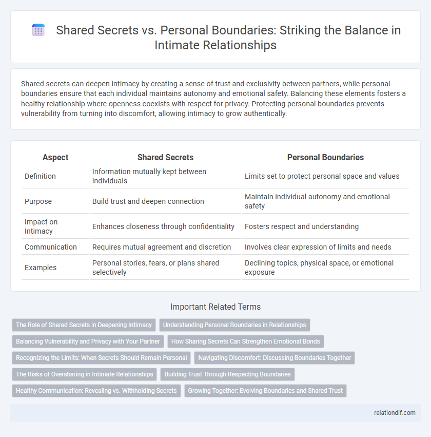 Shared Secrets vs. Personal Boundaries: Striking the Balance in Intimate Relationships