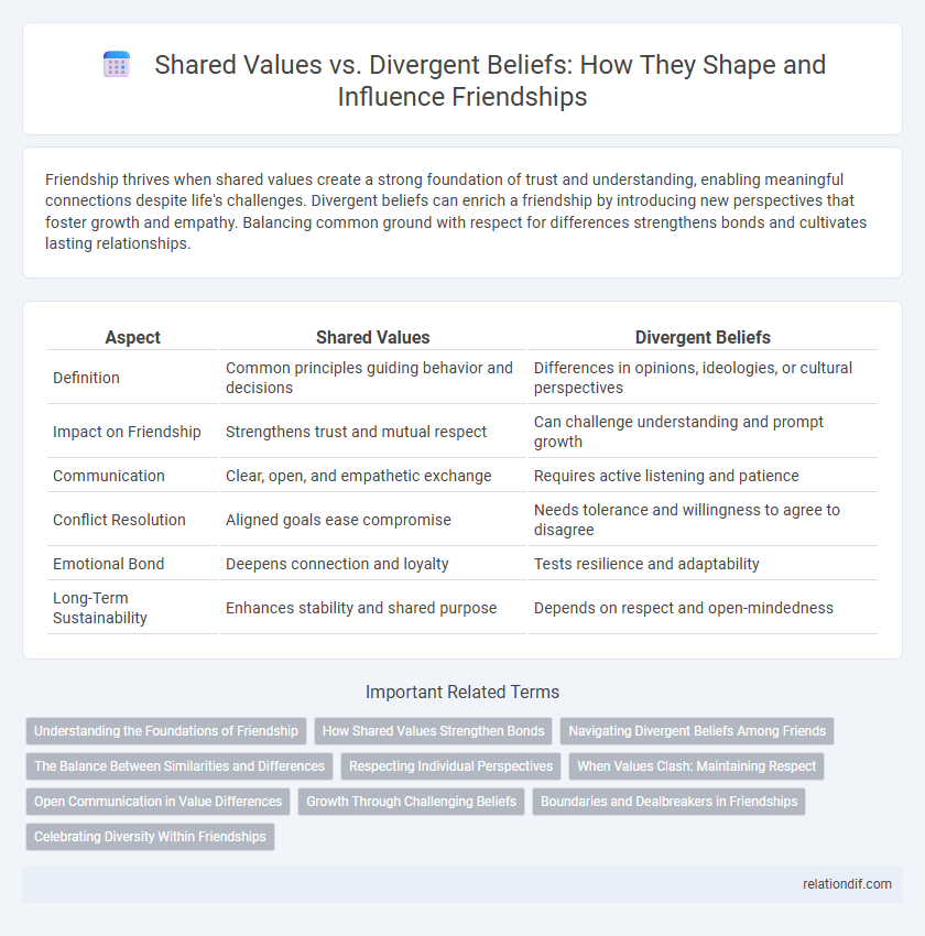 Shared Values vs. Divergent Beliefs: How They Shape and Influence Friendships