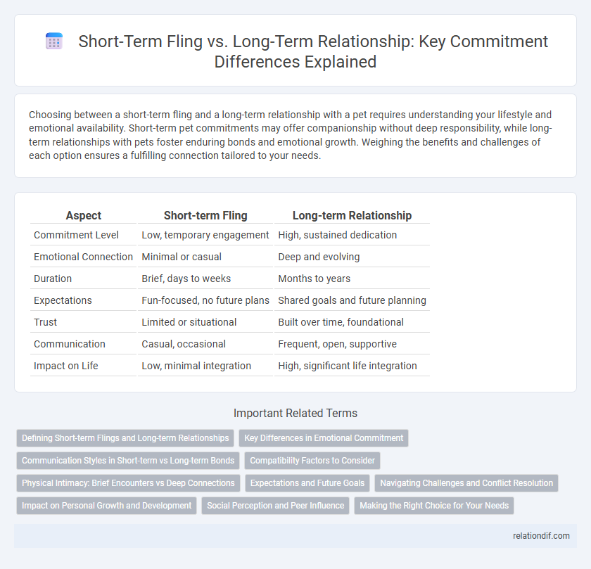 Short-Term Fling vs. Long-Term Relationship: Key Commitment Differences Explained
