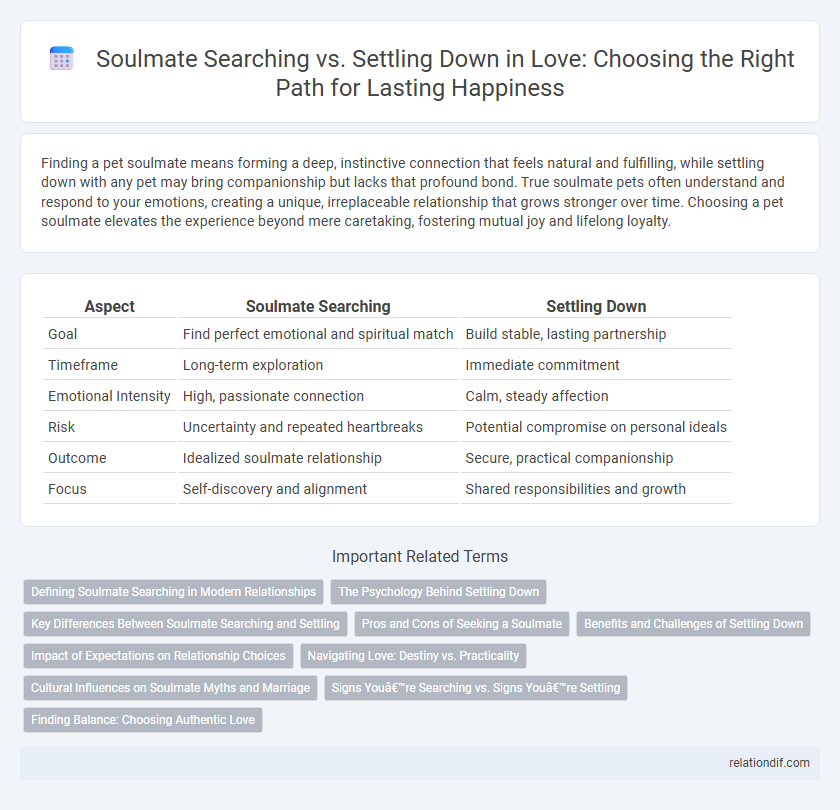 Soulmate Searching vs. Settling Down in Love: Choosing the Right Path for Lasting Happiness