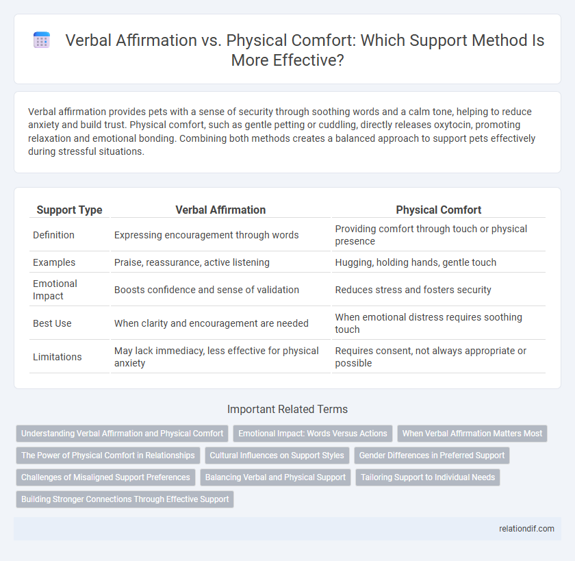 Verbal Affirmation vs. Physical Comfort: Which Support Method Is More Effective?