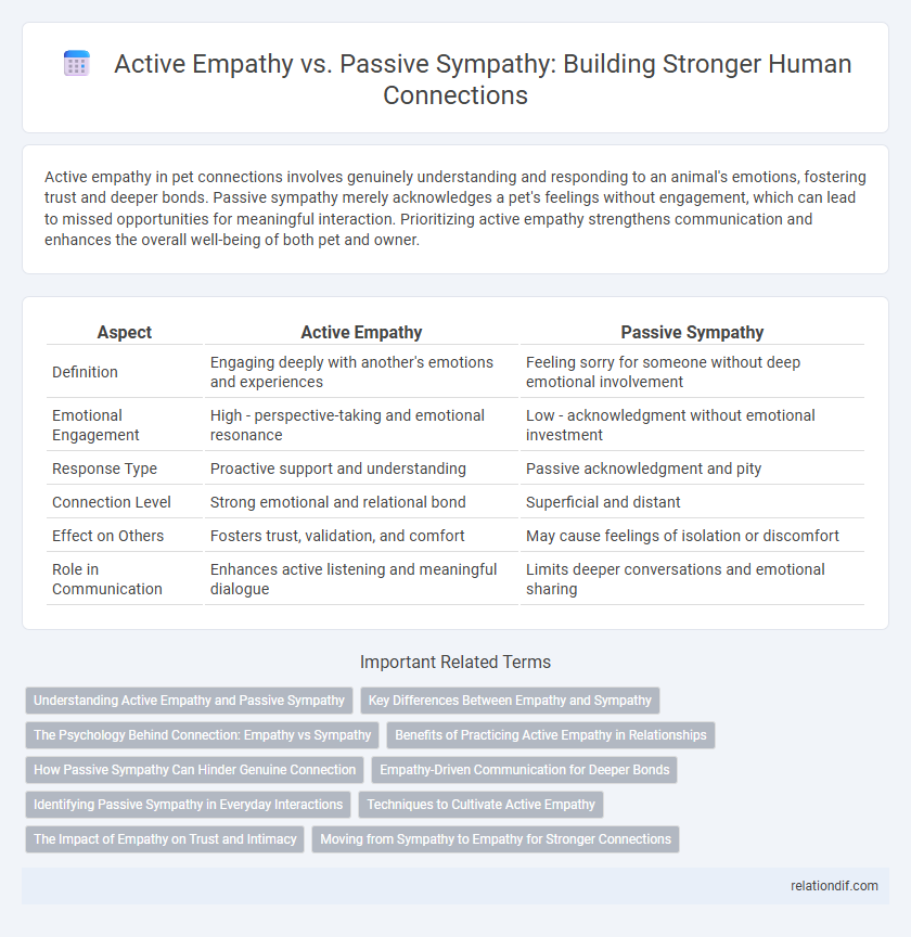 Active Empathy vs. Passive Sympathy: Building Stronger Human Connections