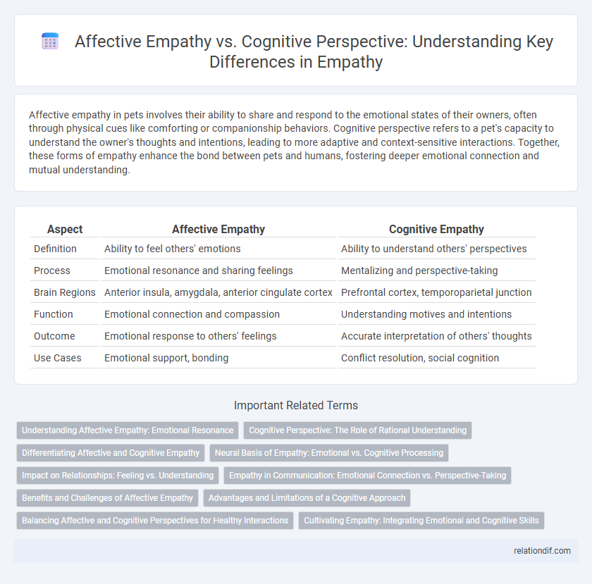 Affective Empathy vs. Cognitive Perspective: Understanding Key Differences in Empathy