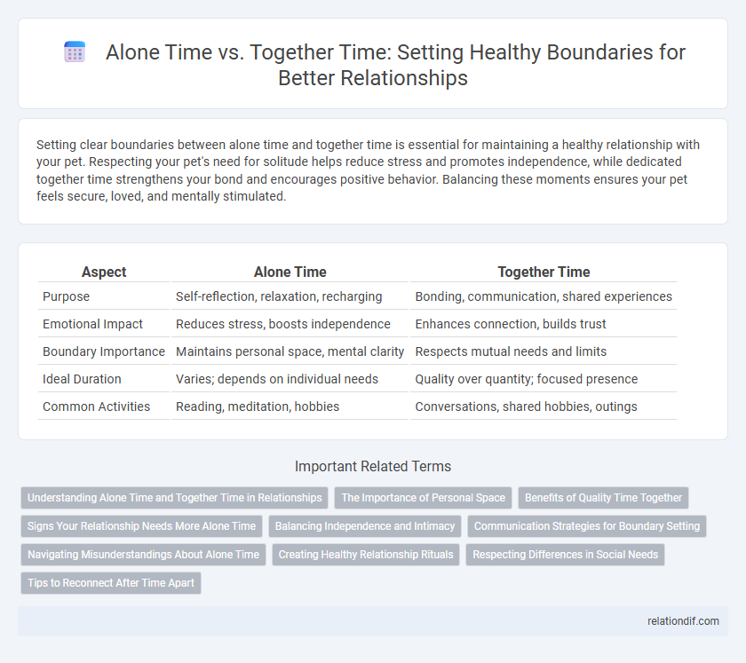 Alone Time vs. Together Time: Setting Healthy Boundaries for Better Relationships