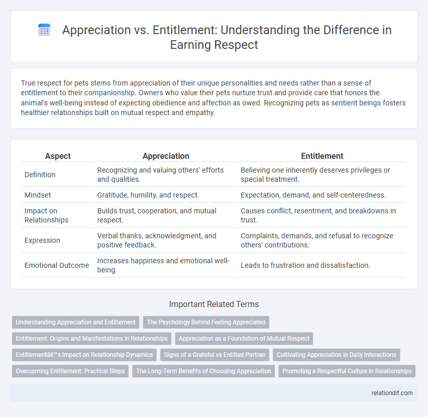 Appreciation vs. Entitlement: Understanding the Difference in Earning Respect