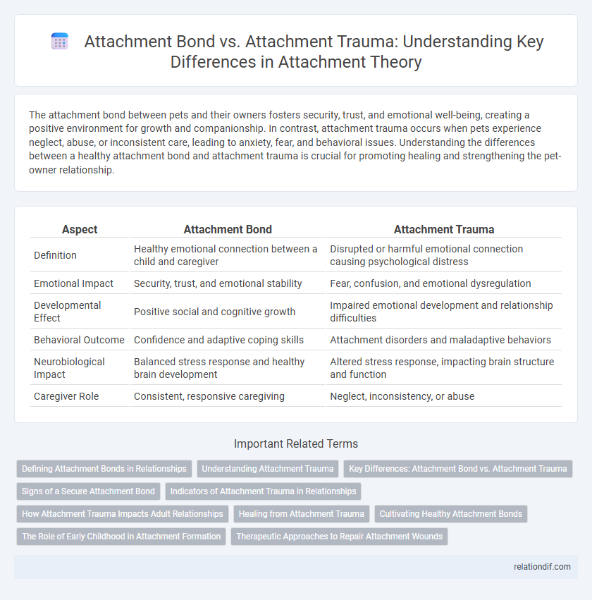 Attachment Bond vs. Attachment Trauma: Understanding Key Differences in Attachment Theory