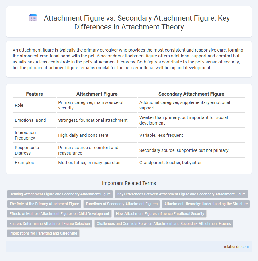 Attachment Figure vs. Secondary Attachment Figure: Key Differences in Attachment Theory