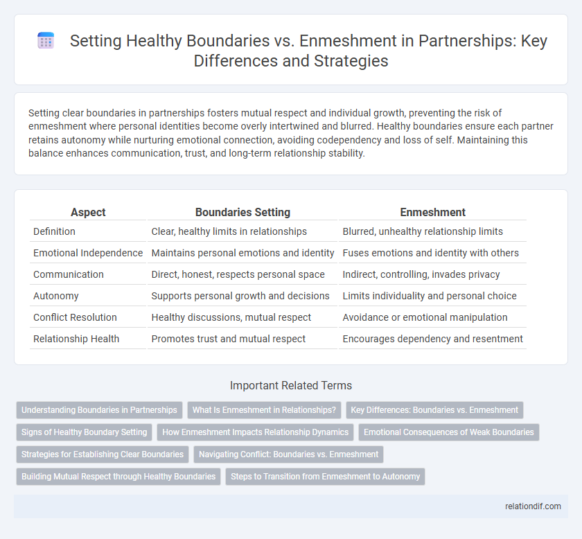 Setting Healthy Boundaries vs. Enmeshment in Partnerships: Key Differences and Strategies