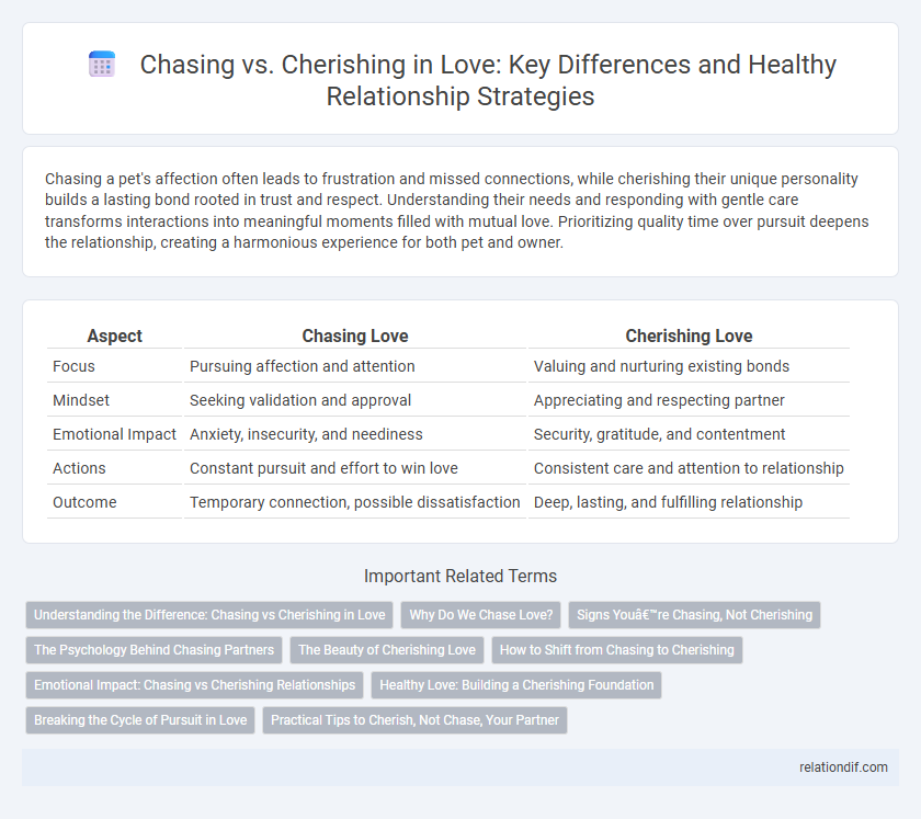 Chasing vs. Cherishing in Love: Key Differences and Healthy Relationship Strategies