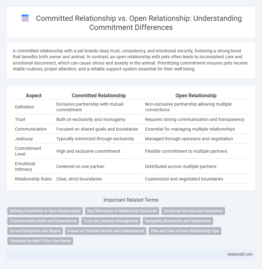 Committed Relationship vs. Open Relationship: Understanding Commitment Differences